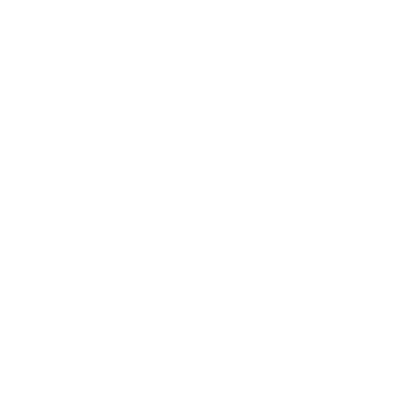 RSP GmbH & Co.KG